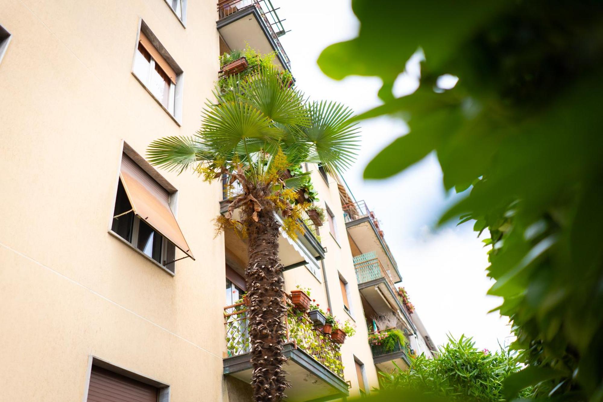 Como Lake Turati Residence Exteriör bild